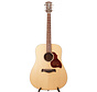 Richwood D-20 | Dreadnought Master Series handgemaakte gitaar