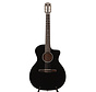 Taylor 214ce-N BLK DLX | Nylonsnarig