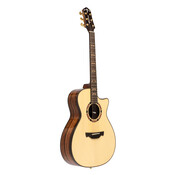 Crafter Crafter STG T-22ce Pro