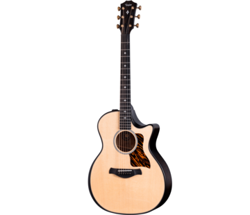 Taylor Taylor Builder's Edition 314ce LTD 50th Anniversary Natural Top