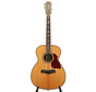 Richwood A-7012-VA | 12-snarige gitaar | Tweedehands