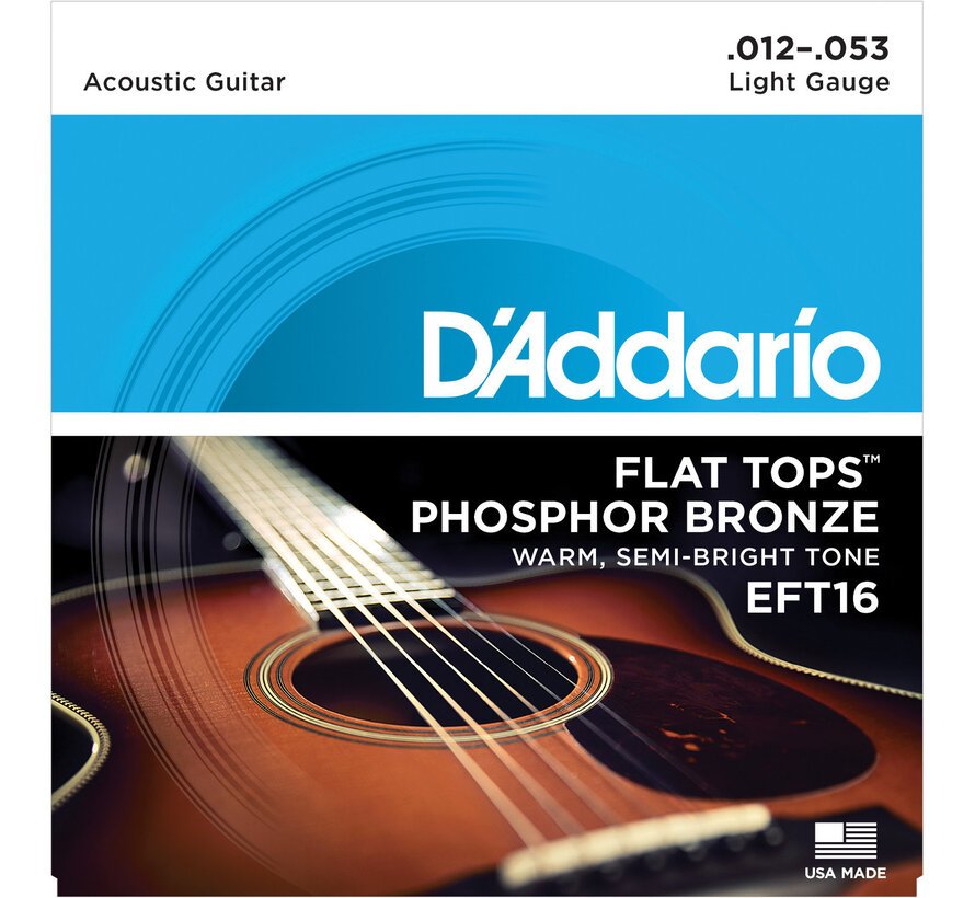 D'Addario EFT16 Flat Tops snarenset voor akoestische gitaar
