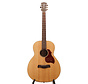 Richwood B-20 Baritone gitaar