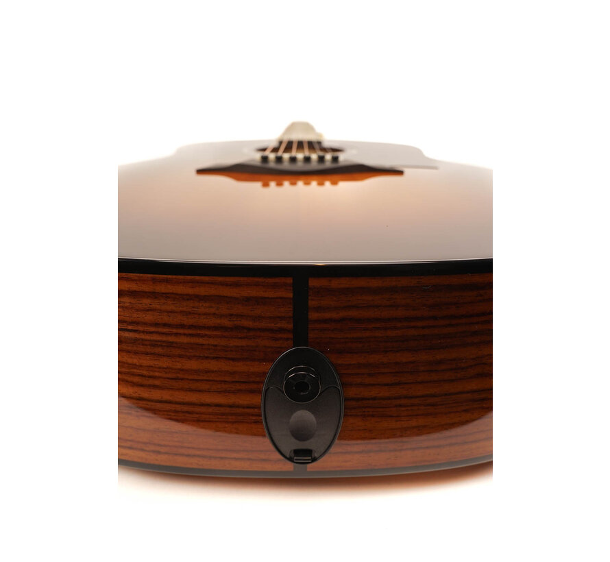 Taylor 217e-SB Plus 50th Anniversary