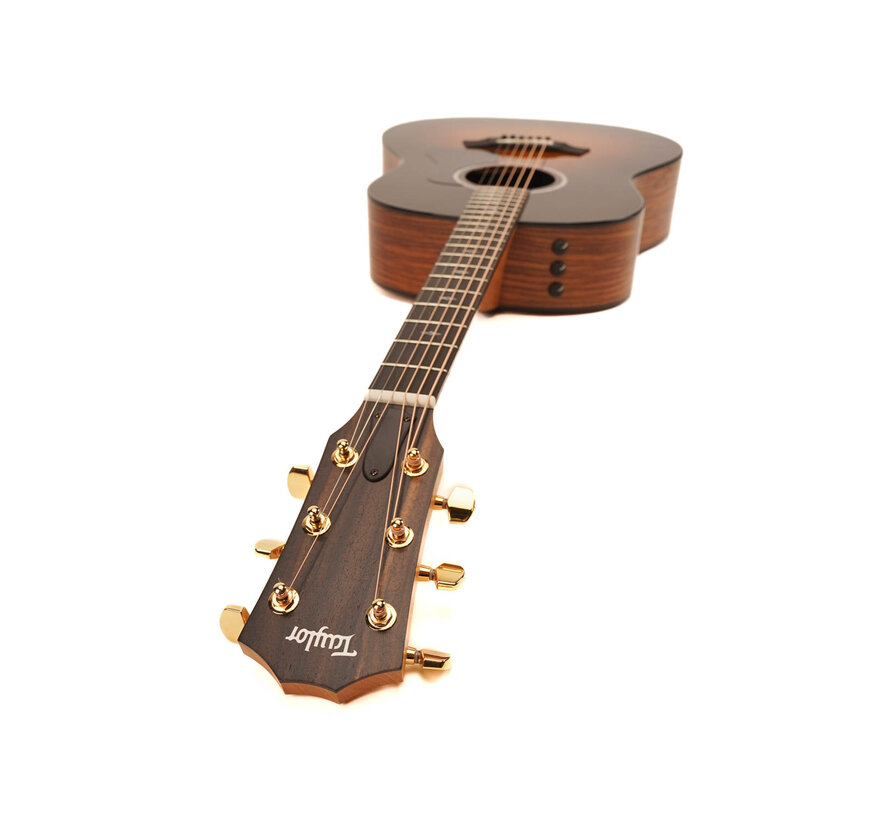 Taylor 217e-SB Plus 50th Anniversary