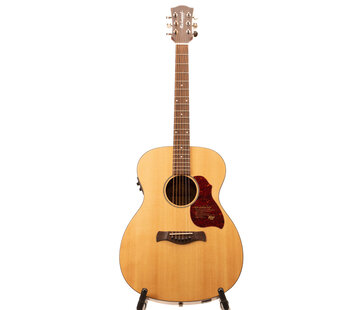 Richwood Richwood A-20-E semi akoestische gitaar