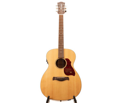 Richwood Richwood A-20-E | Master Series