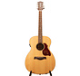 Richwood A-20-E semi akoestische gitaar