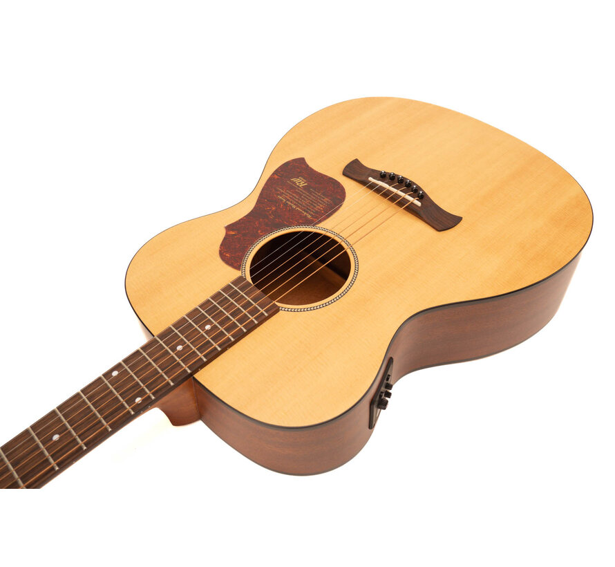 Richwood A-20-E semi akoestische gitaar