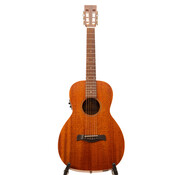 Richwood Richwood P-50-E Parlour model gitaar