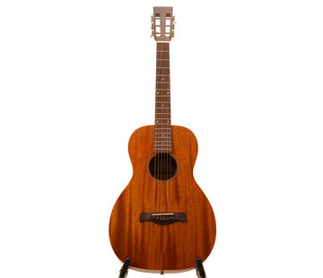 Richwood Richwood P-50 Parlor model gitaar