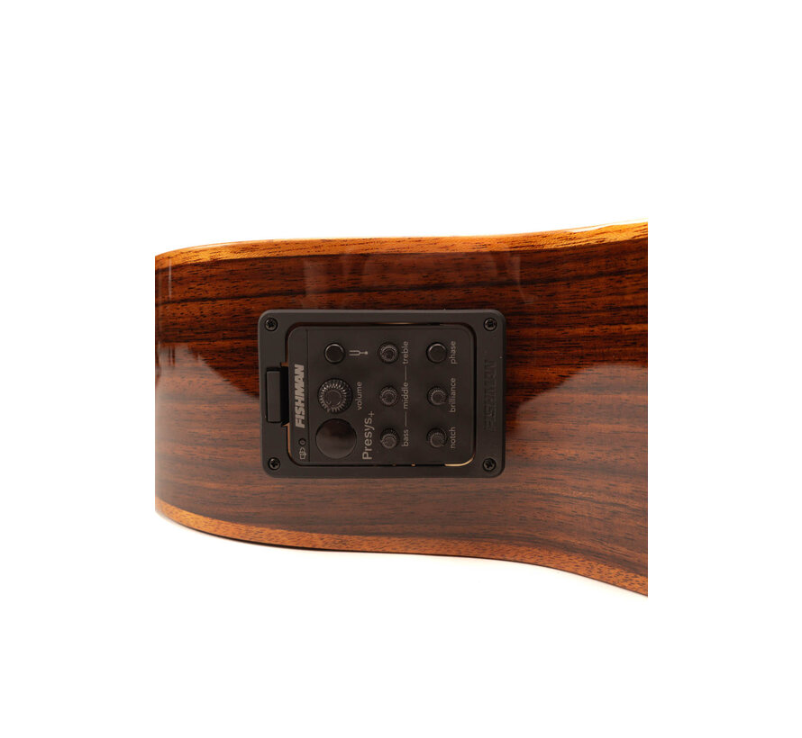 Richwood SWG-150-CE Master Series semi akoestische gitaar