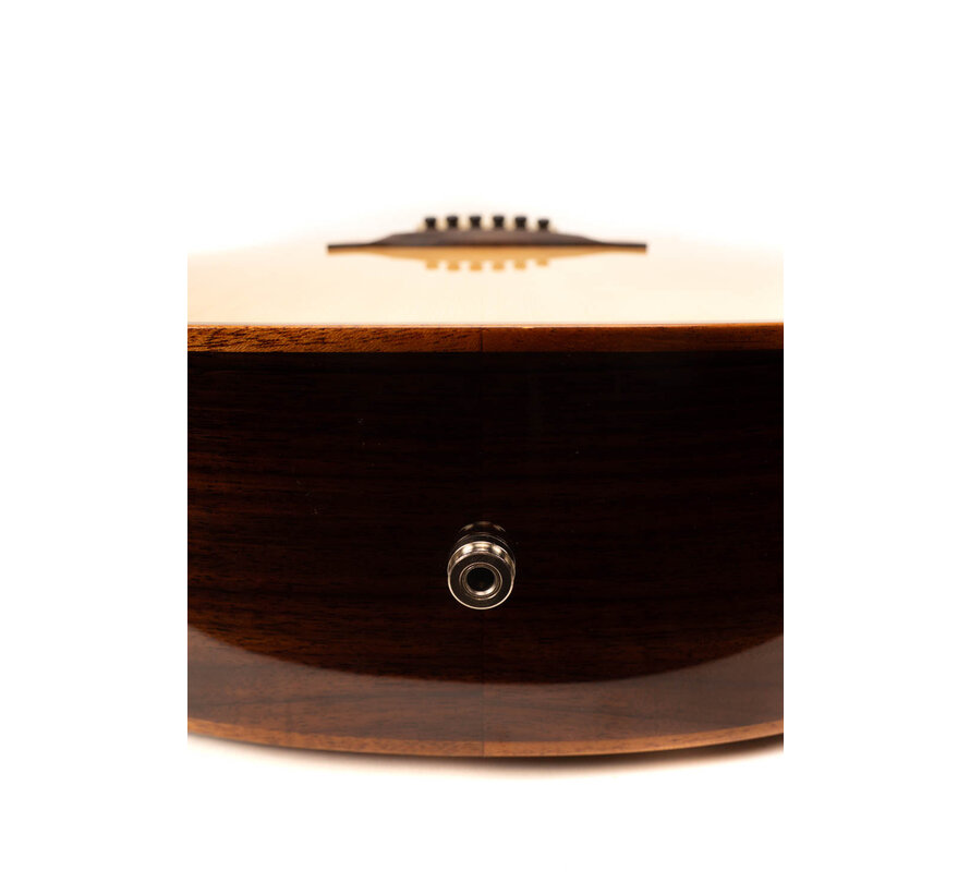 Richwood SWG-150-CE Master Series semi akoestische gitaar