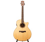 Richwood SWG-150-CE Master Series semi akoestische gitaar
