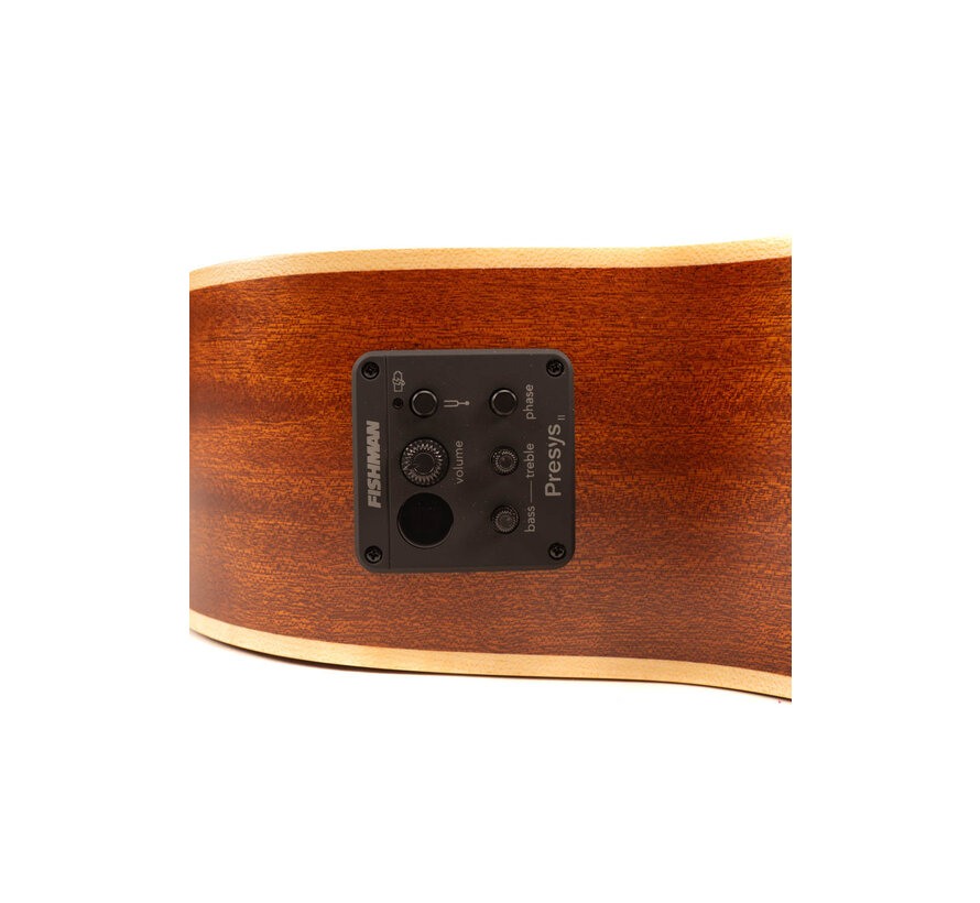 Richwood SWG-110-CE | Songwriter Master Series handgemaakte gitaar