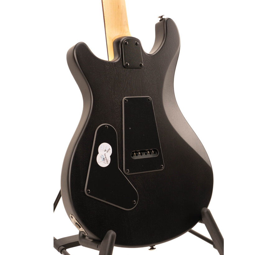 PRS SE Swamp Ash CE24 | Sandblasted Green