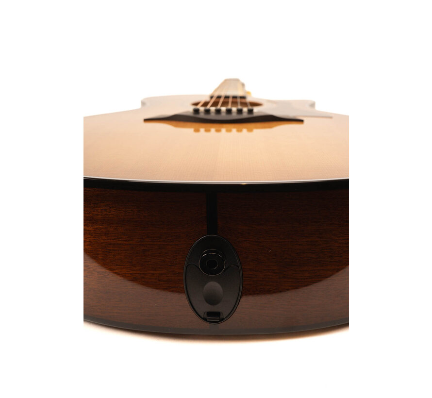 Taylor 312ce LTD 50th Anniversary