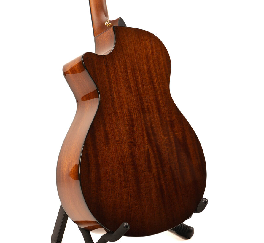 Taylor 312ce LTD 50th Anniversary