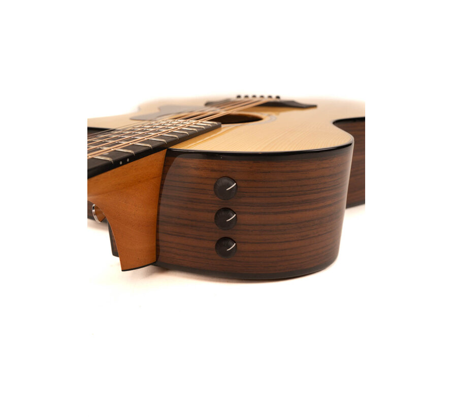 Taylor 254ce PLUS | 12 string