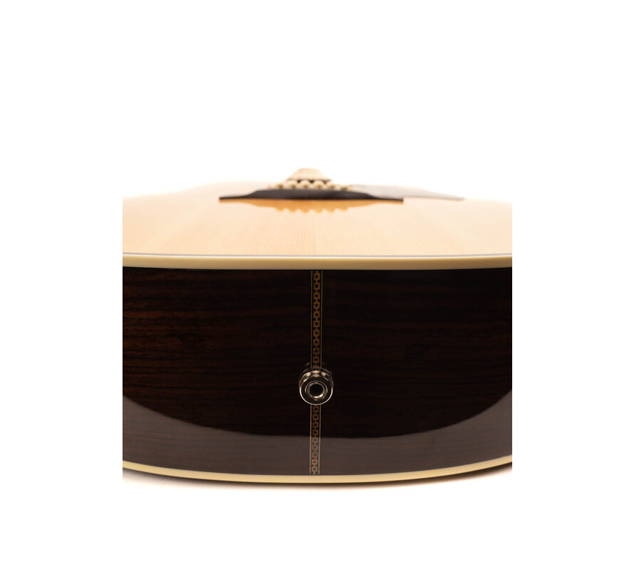 Richwood D-60-CE semi akoestische gitaar