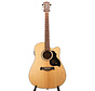 Richwood D-60-CE semi akoestische gitaar