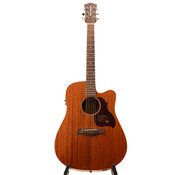 Richwood Richwood D-50-CE