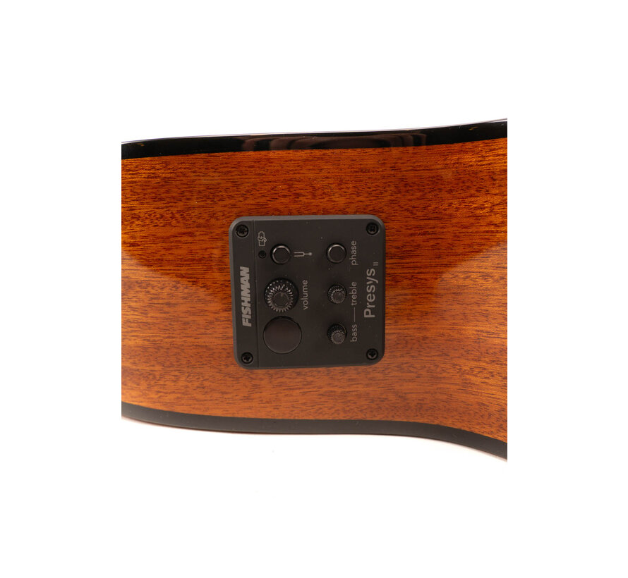 Richwood G-40-CE Semi Akoestische gitaar