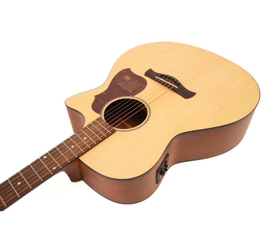 Richwood G-20-CE Semi Akoestische gitaar