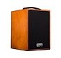 GR Guitar WDAC6 | Acoustic Guitar Amp | Akoestische versterker