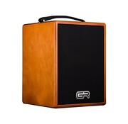 GR Guitar GR Guitar WDAC5 | Acoustic Guitar Amp | Akoestische versterker