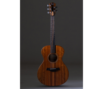 Taylor Taylor JCSM-5 Jacob Collier signature | 5-string