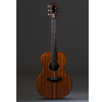 Taylor Taylor JCSM-5 Jacob Collier signature | 5-string
