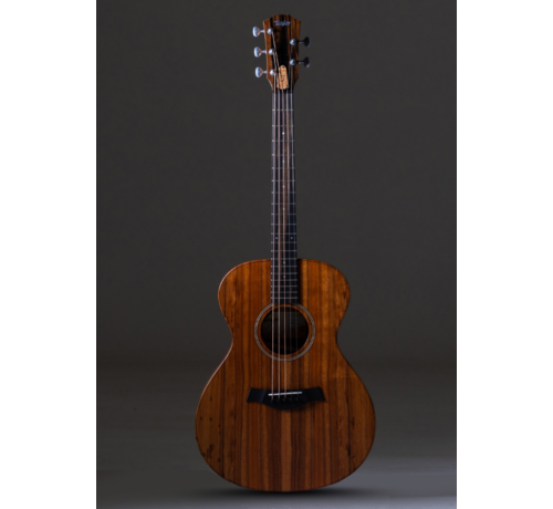 Taylor Taylor JCSM-5 Jacob Collier signature | 5-string | 5 snarig