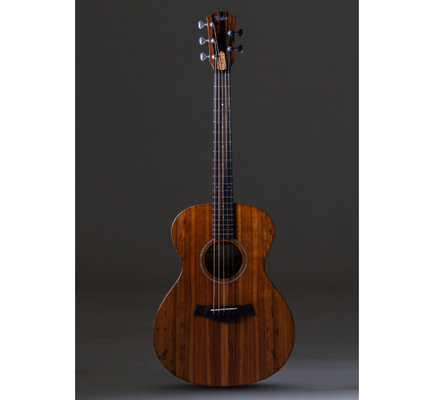 Taylor JCSM-5 Jacob Collier signature | 5-string | 5 snarig