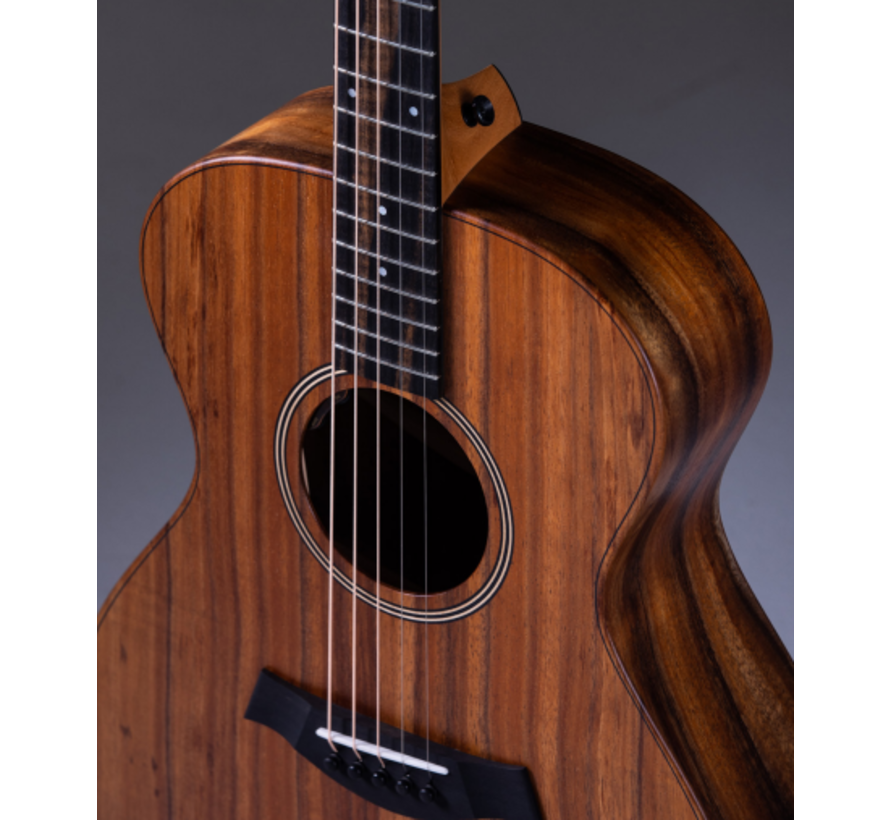 Taylor JCSM-5 Jacob Collier signature | 5-string | 5 snarig