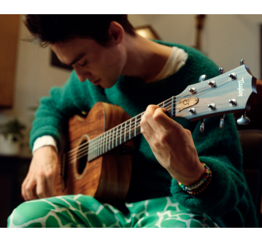 Taylor JCSM-6 Jacob Collier signature | 6-string | 6 snarig