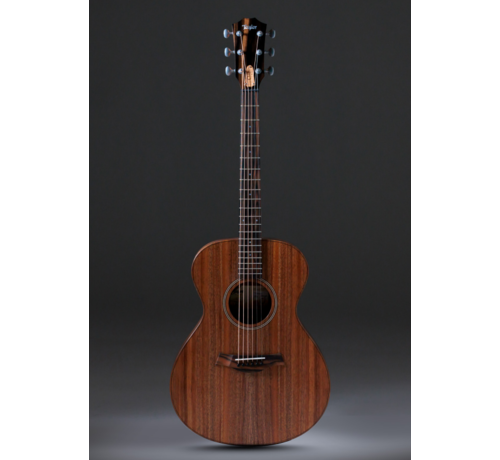 Taylor Taylor JCSM-6 Jacob Collier signature | 6-string | 6 snarig