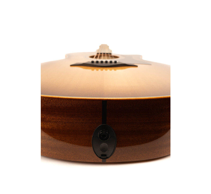 Taylor 314ce Studio | Shaded Edgeburst