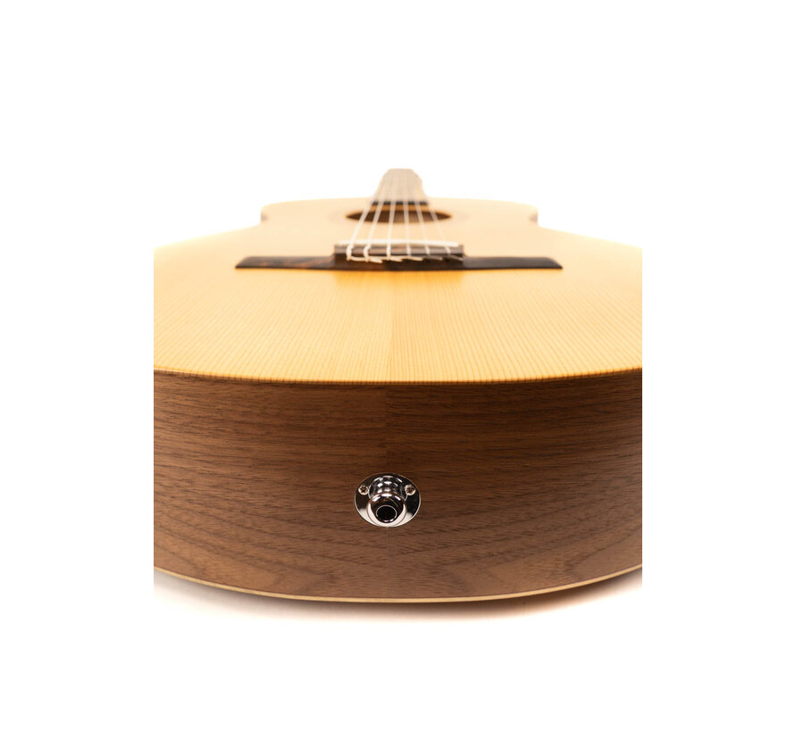 Taylor Academy 12e-N