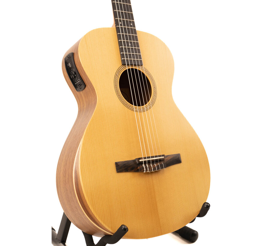 Taylor Academy 12e-N