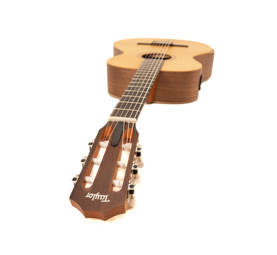 Taylor Academy 12e-N