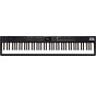 Roland RD-88 EX Stage Piano