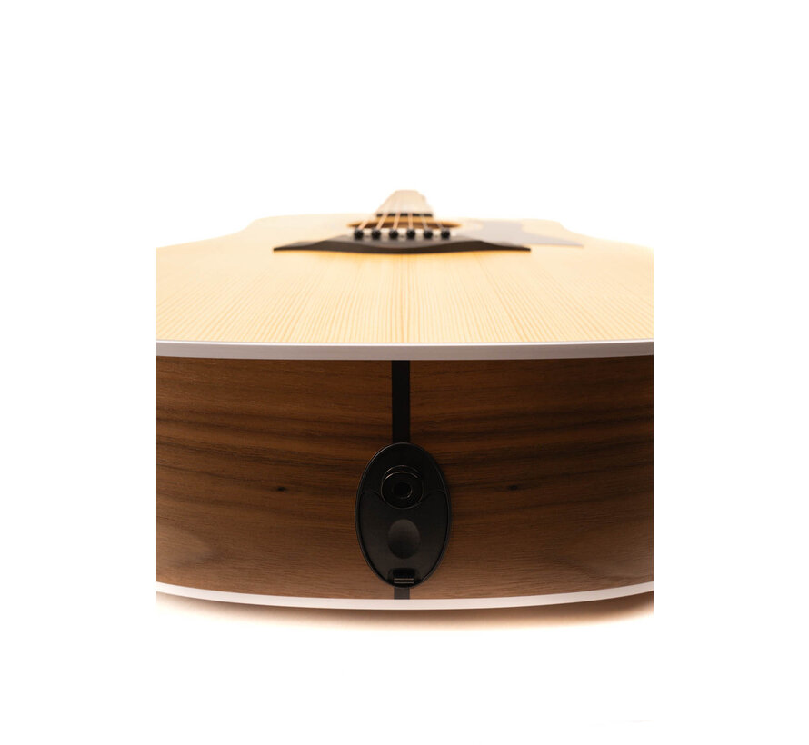 Taylor 210ce