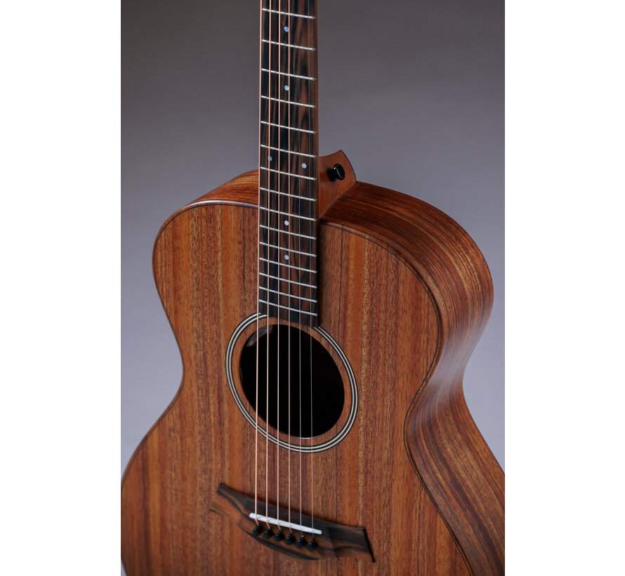 Taylor JCSM-6 Jacob Collier signature | 6-string | 6 snarig