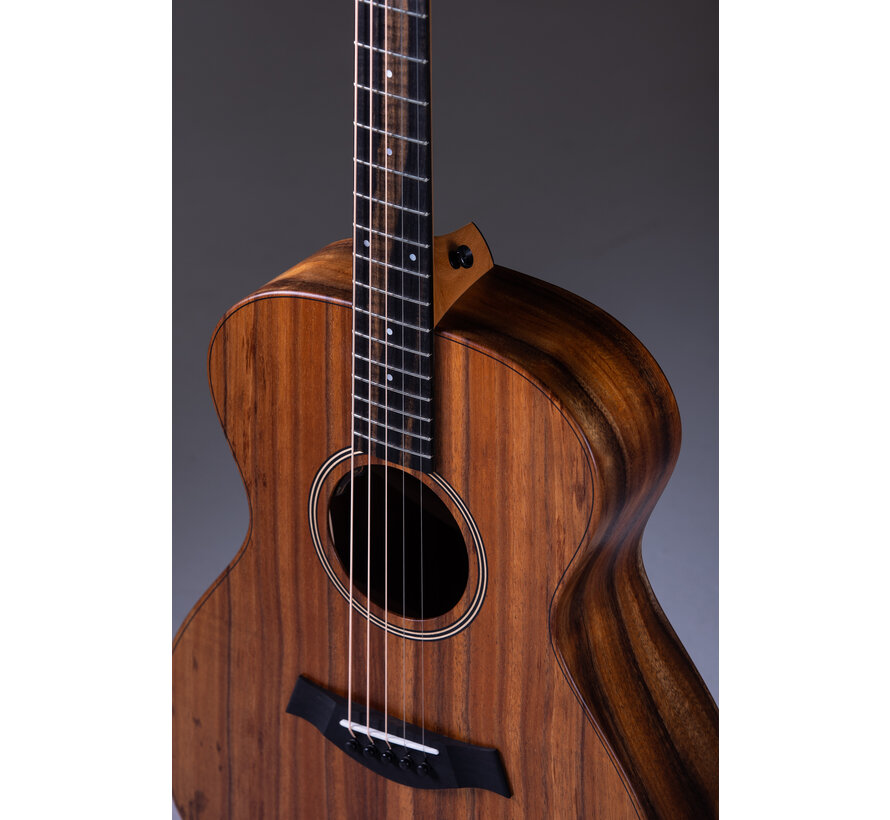Taylor JCSM-5 Jacob Collier signature | 5-string | 5 snarig