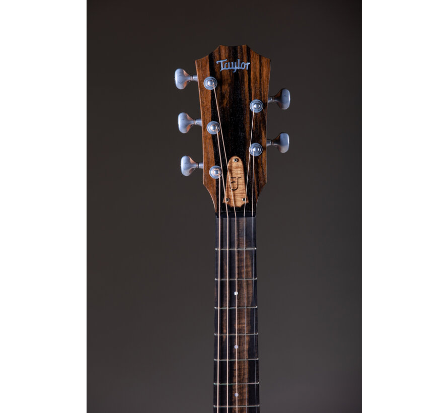 Taylor JCSM-5 Jacob Collier signature | 5-string | 5 snarig