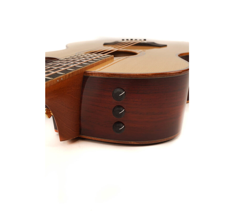 Taylor Custom GA Cocobolo LTD