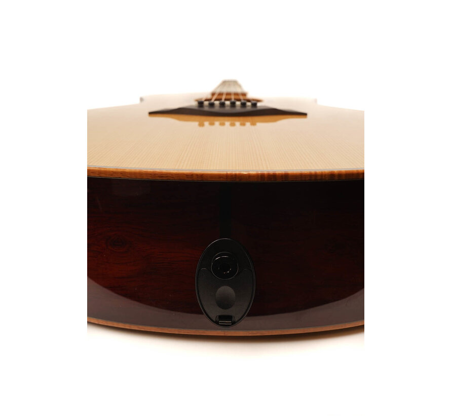 Taylor Custom GA Cocobolo LTD