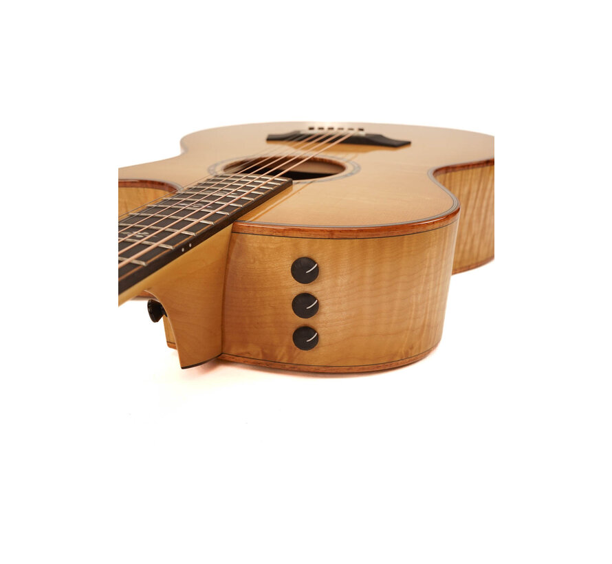 Taylor Custom GA Maple | Bearclaw Top