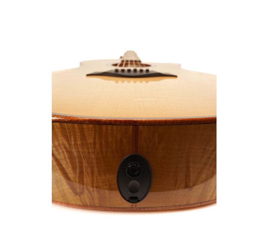 Taylor Custom GA Maple | Bearclaw Top